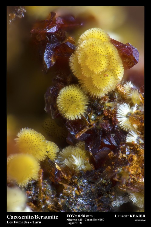 cacoxenite beraunite mitux20 (2) (Copier).jpg