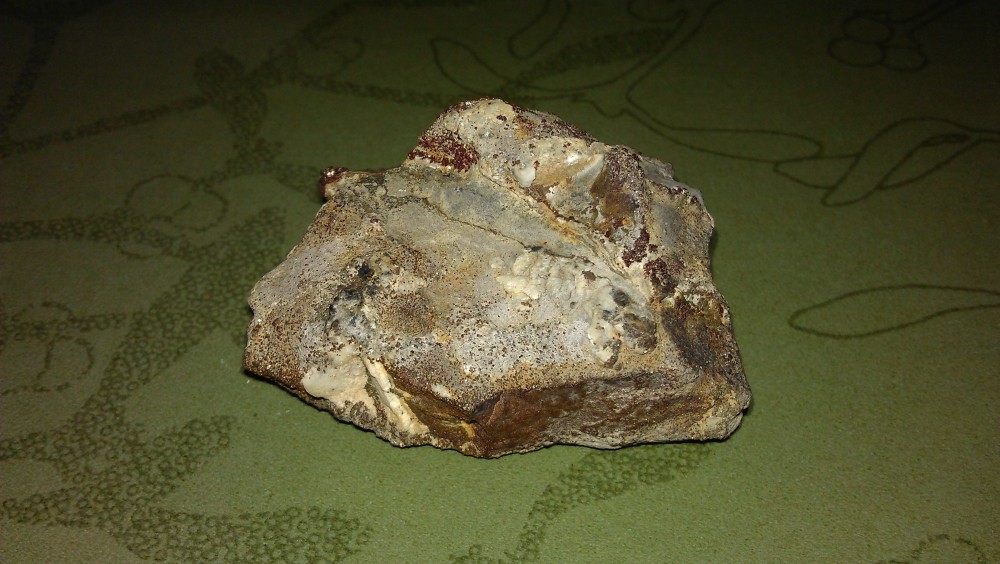 Fragment de calcaire avec pyrite de fer.jpg
