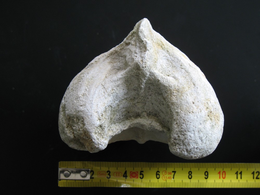 18 mai 2007 04 La Chapelle-Gonaguet.JPG