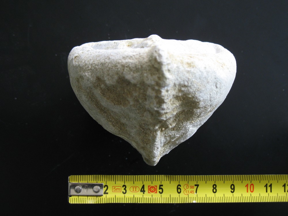 18 mai 2007 06 La Chapelle-Gonaguet.JPG