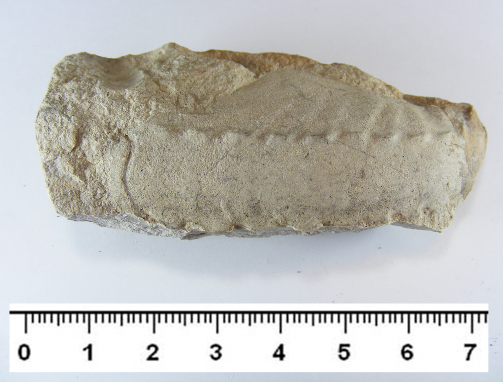 Image1.png