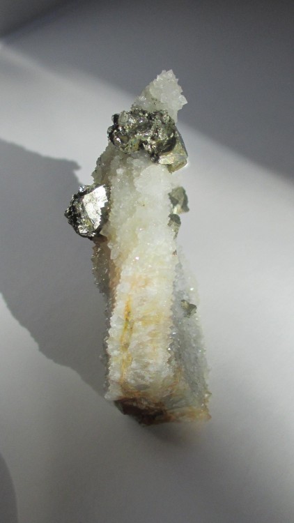 pyrite marcasnord07.jpg