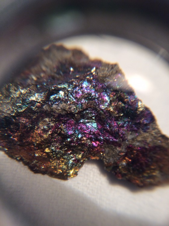 CHALCOPYRITE IRISENTE.JPG