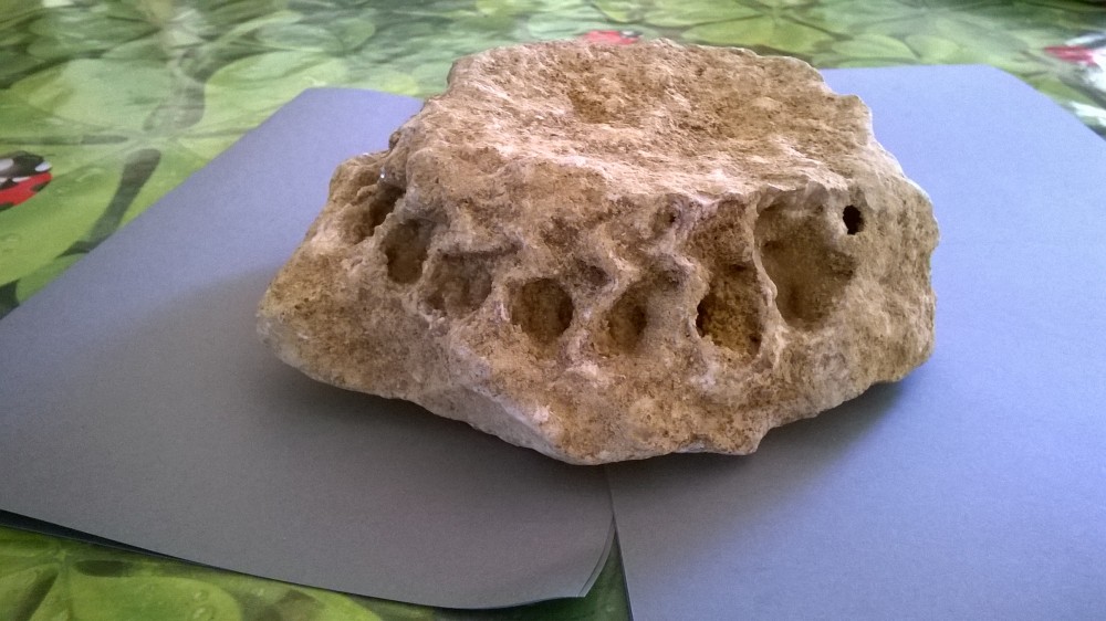 WP_20160717_001.jpg