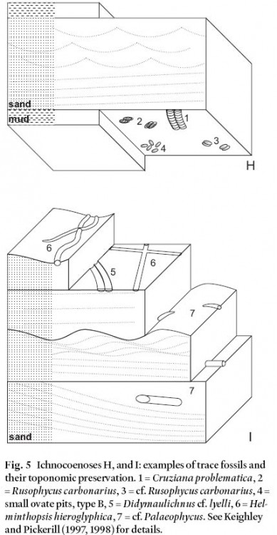 ageo39_1art01_fig5.jpg