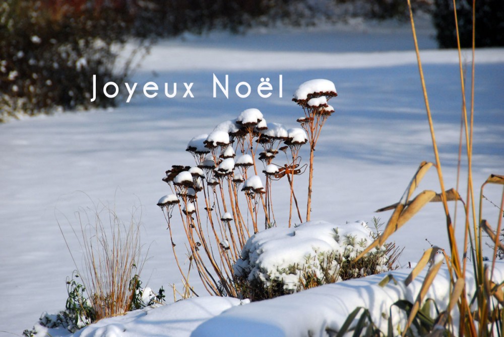 joyeux-noel-2011.jpg