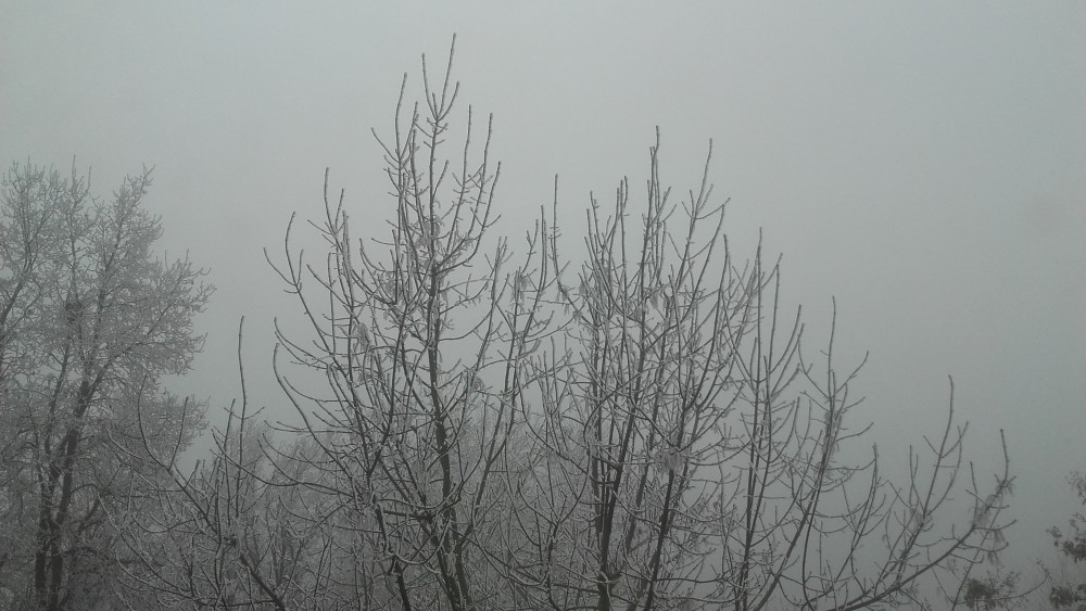 20161231_122155.jpg