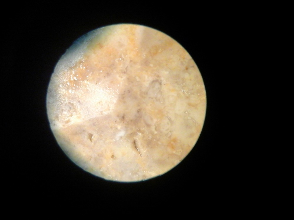 1487804115757.jpg