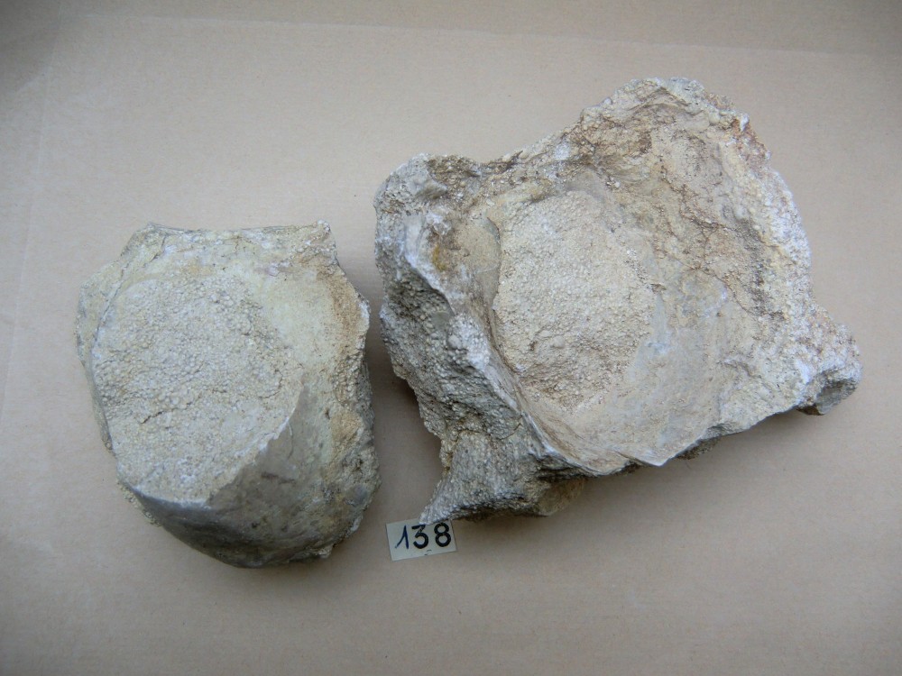 CIMG2058.JPG