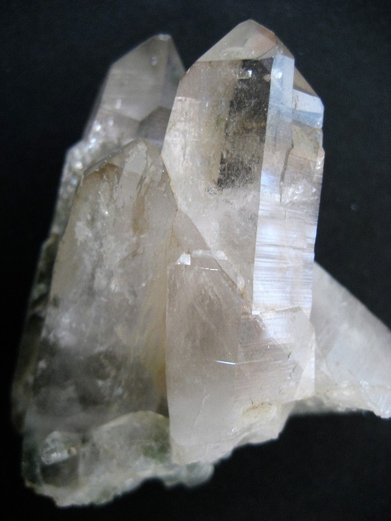 Cristal de roche enfumé et Chlorite(Massif de la Madeleine Mt Blanc 74.JPG