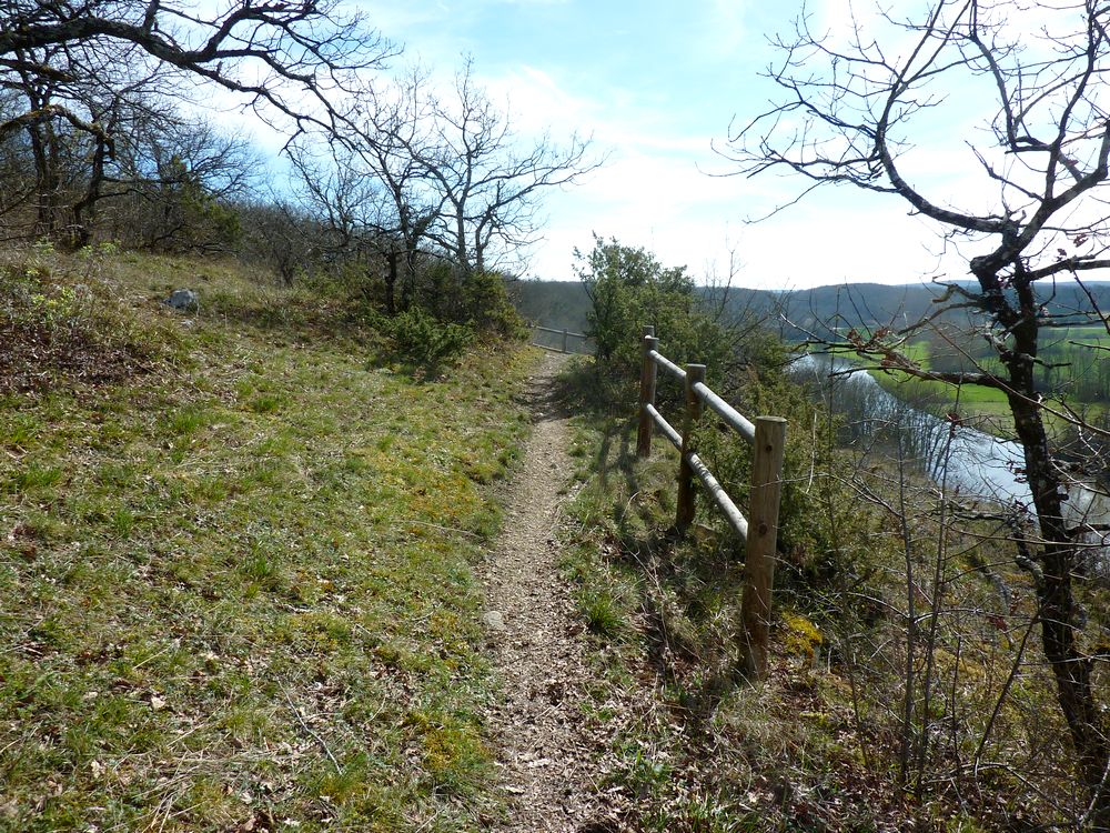 Réserve du bois du parc 27.JPG