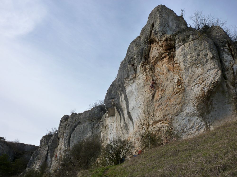 Réserve du bois du parc 32.JPG