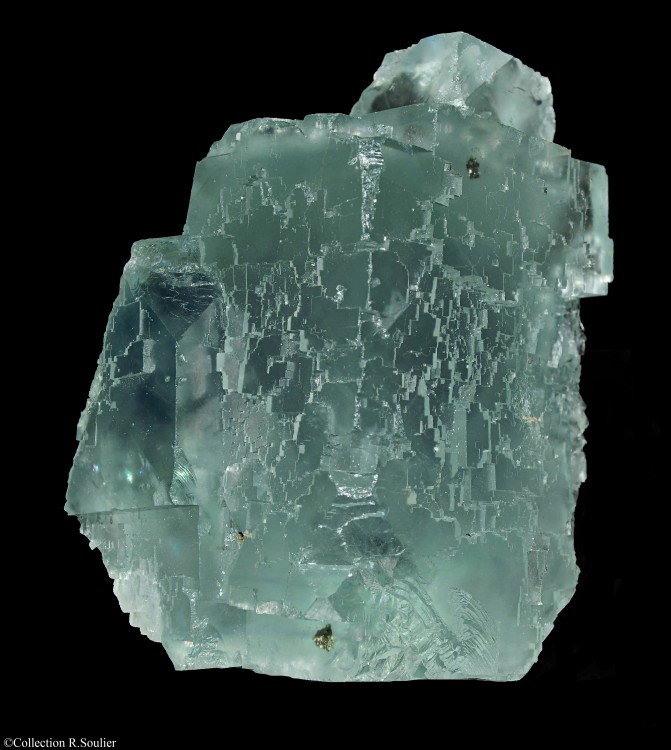 58d6aeef03d41_Fluorine(10x6.5cm).thumb.jpg.8589472441aa206c2149f646c1de3881.jpg