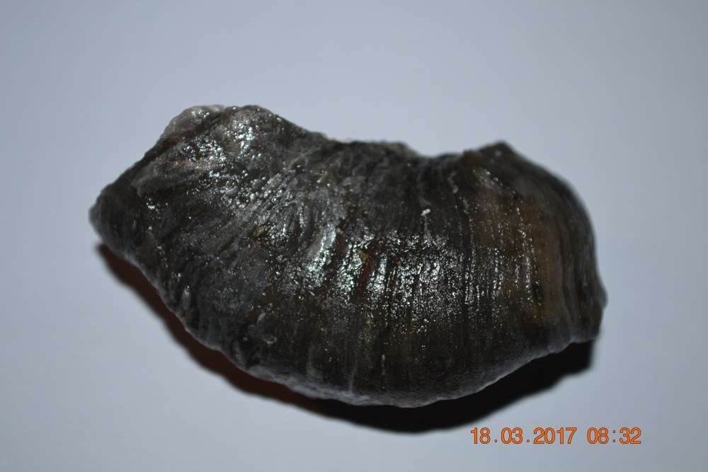 DSC_0023.thumb.JPG.45419c06e5533d85eed418e22a2ad7cd.JPG