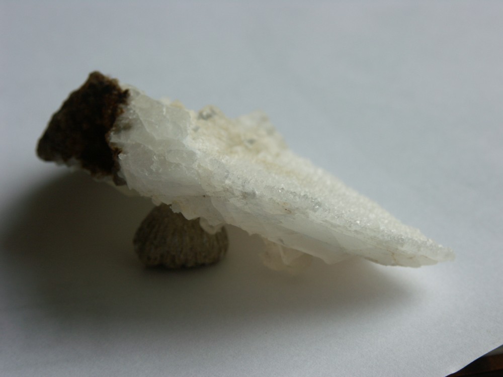 PICT0014.JPG
