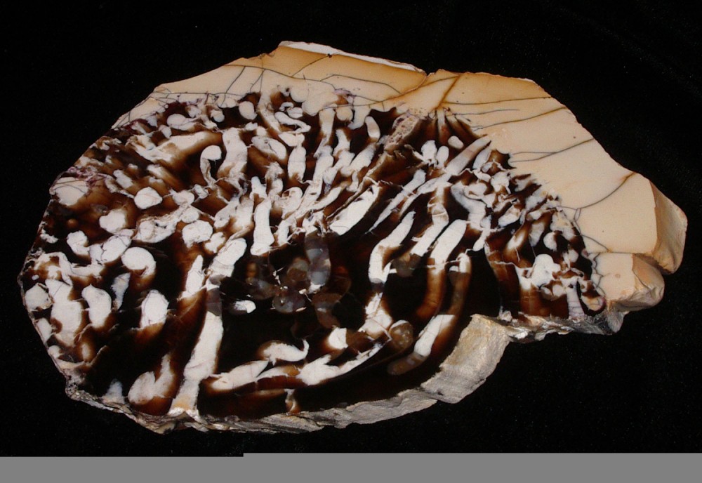 Peanut-wood-1.jpg
