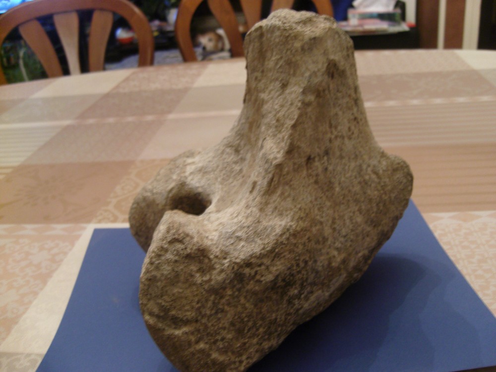 SN209283.JPG