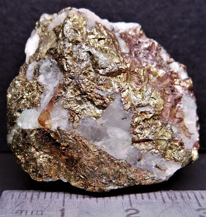 58ffc7521acf9_(2)6-RenieriteChalcopyrite-minedeKipushiKipushiKatanga.(CONGO).thumb.jpg.697d2e73ad057efb8705b9794ff5d457.jpg