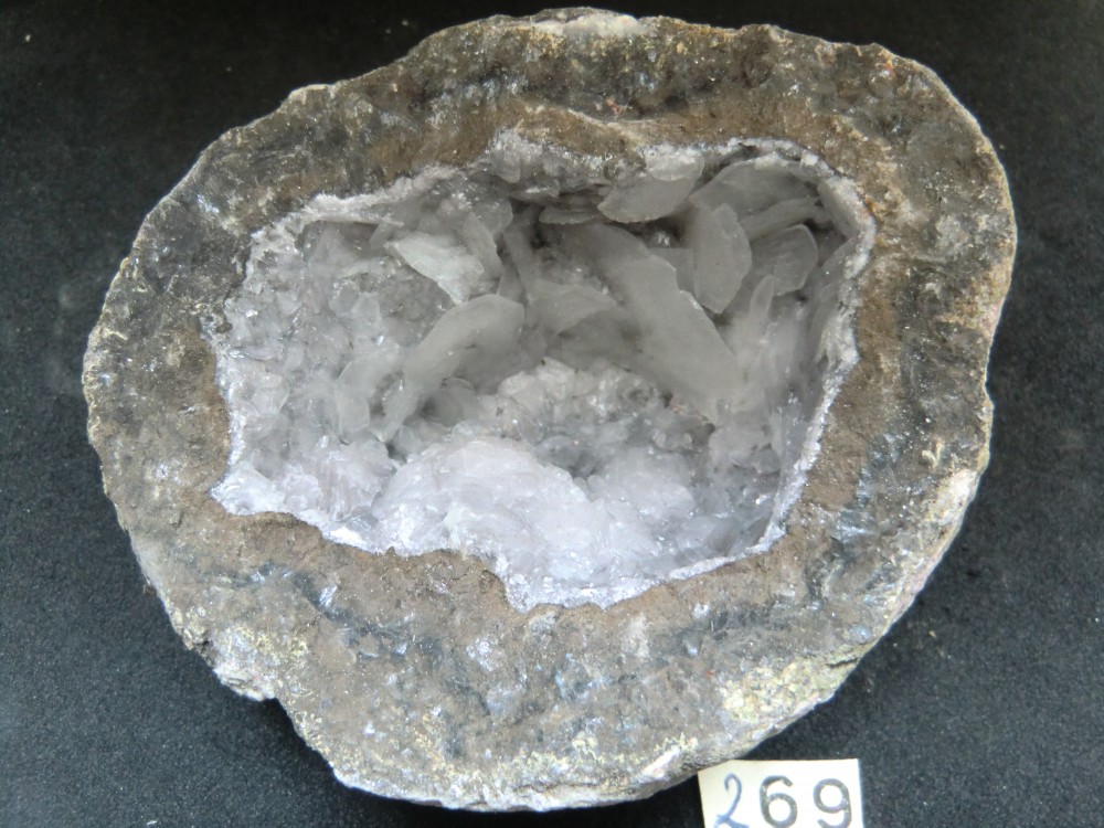 CIMG2701.JPG