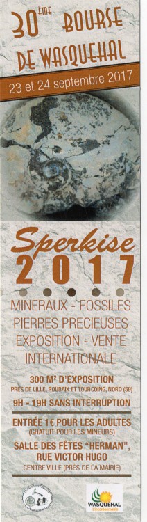 wasquehal Bourse2017.jpg