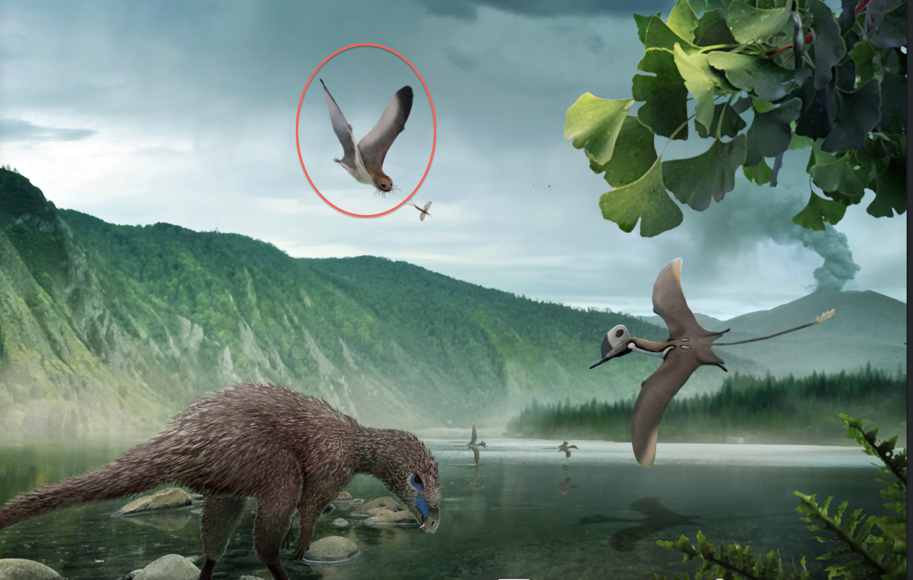 Pourquoi les dinosaures avaient-ils des plumes sans avoir la force de voler  ? - GuruMeditation