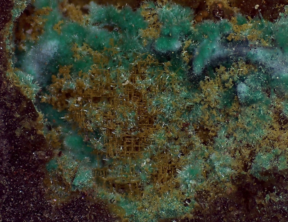 Villecun9 Malachite 54x41.jpg