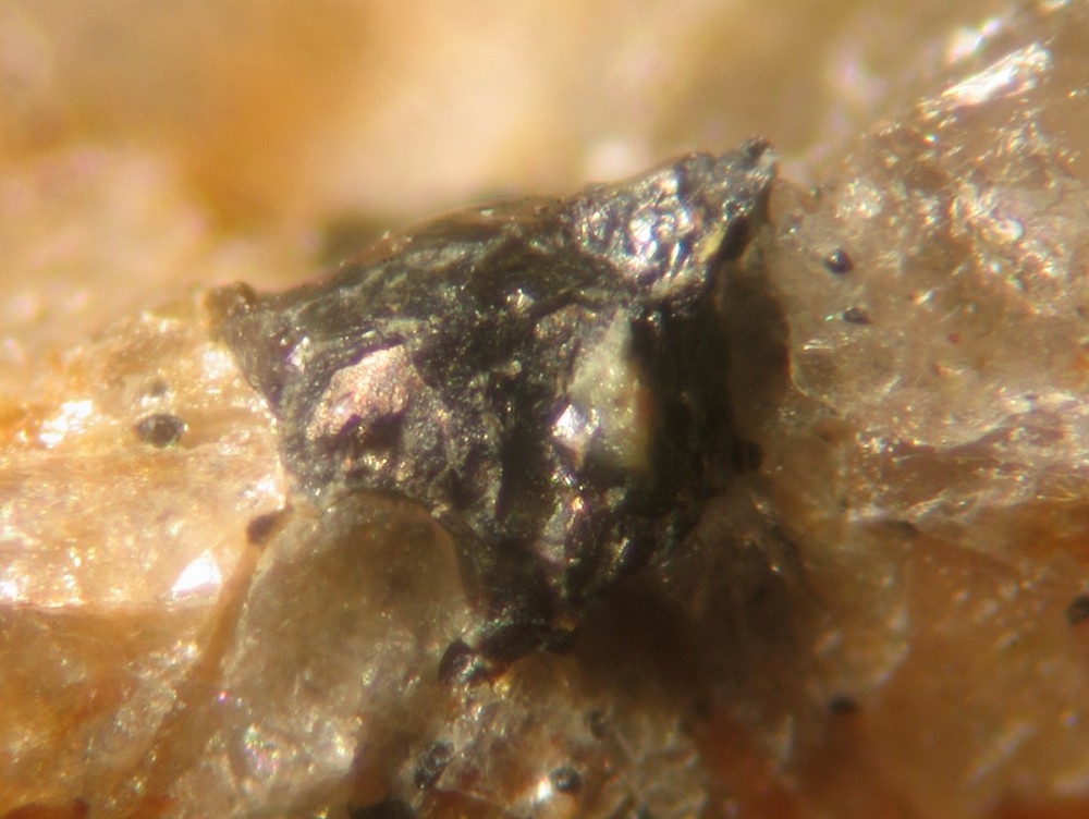 Bismuth QPMI 5364 -1 ( 2012 )( fov 1,5 mm ) (Copier).jpg