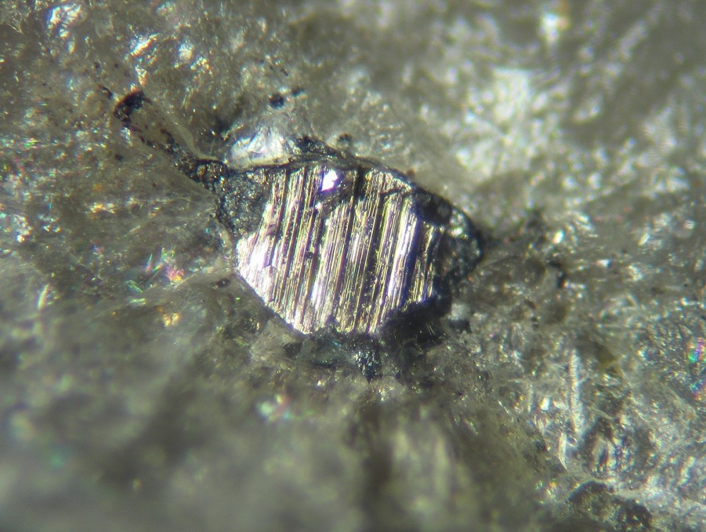 Bismuth QPMI 09697 -1 ( fov 2 mm ) (Copier).jpg