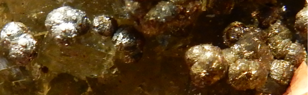 Pyrite.png