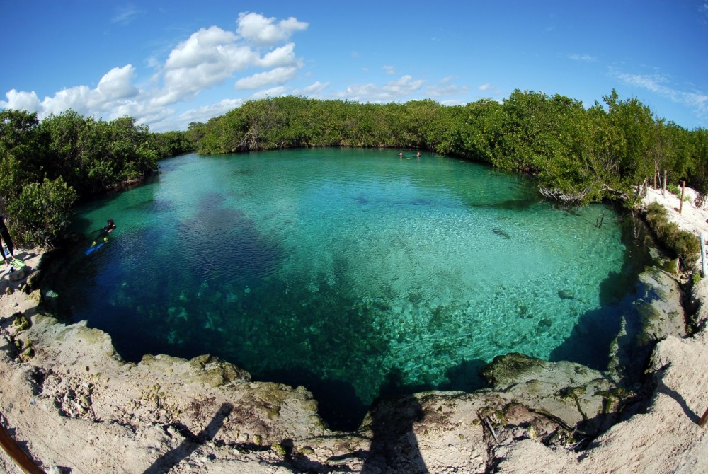 discover-cenotes.thumb.jpg.111c7e6765f3b851e16fa591eed4e91f.jpg