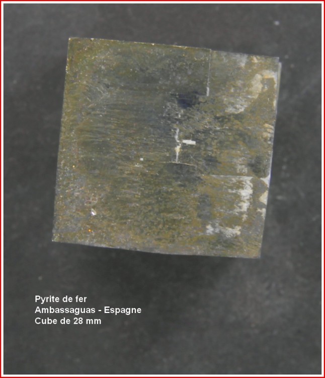 pyrite_ambassaguas.jpg