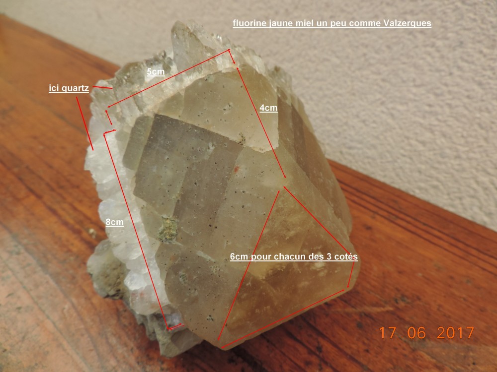 FLUORINE (3).JPG