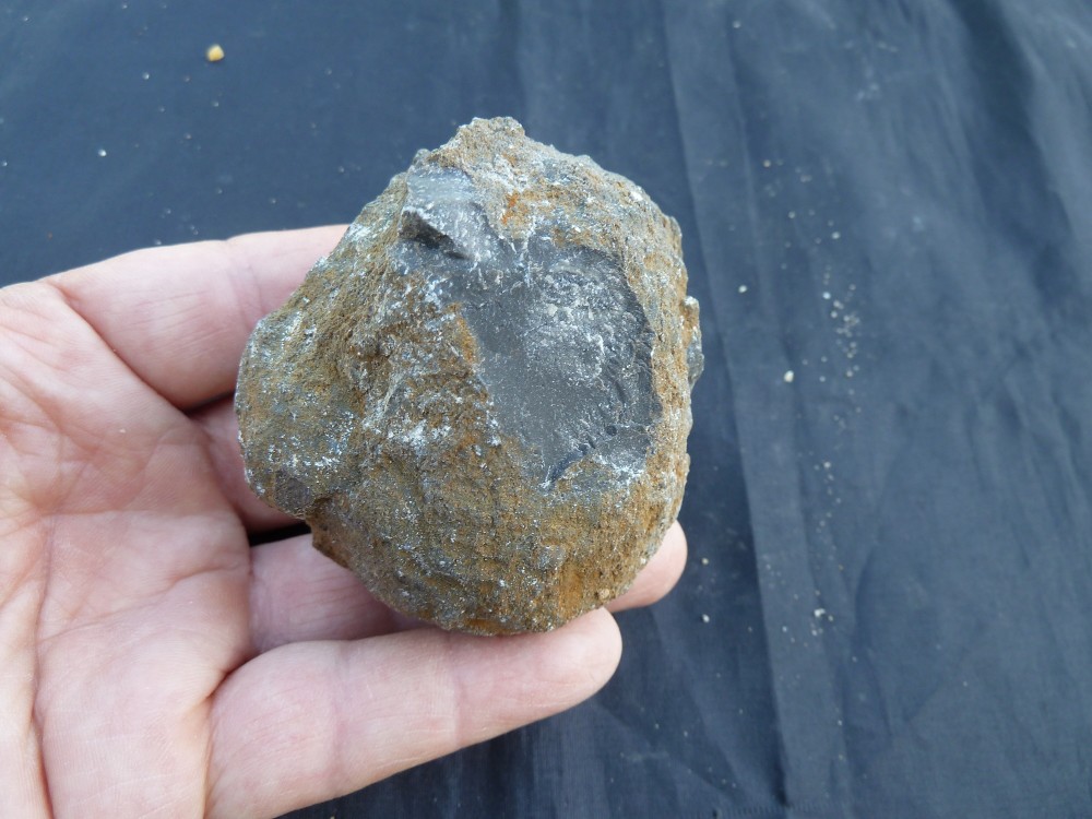 Fossiles de Chateaupanne 11-06-2017  (4).JPG