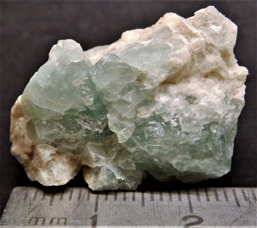 5948f69426c96_(3)1-Fluorine-(MinedeMontalimbertsortiedu09aout2013).thumb.jpg.237c4ffbbe2092d371950ffa8b0493be.jpg