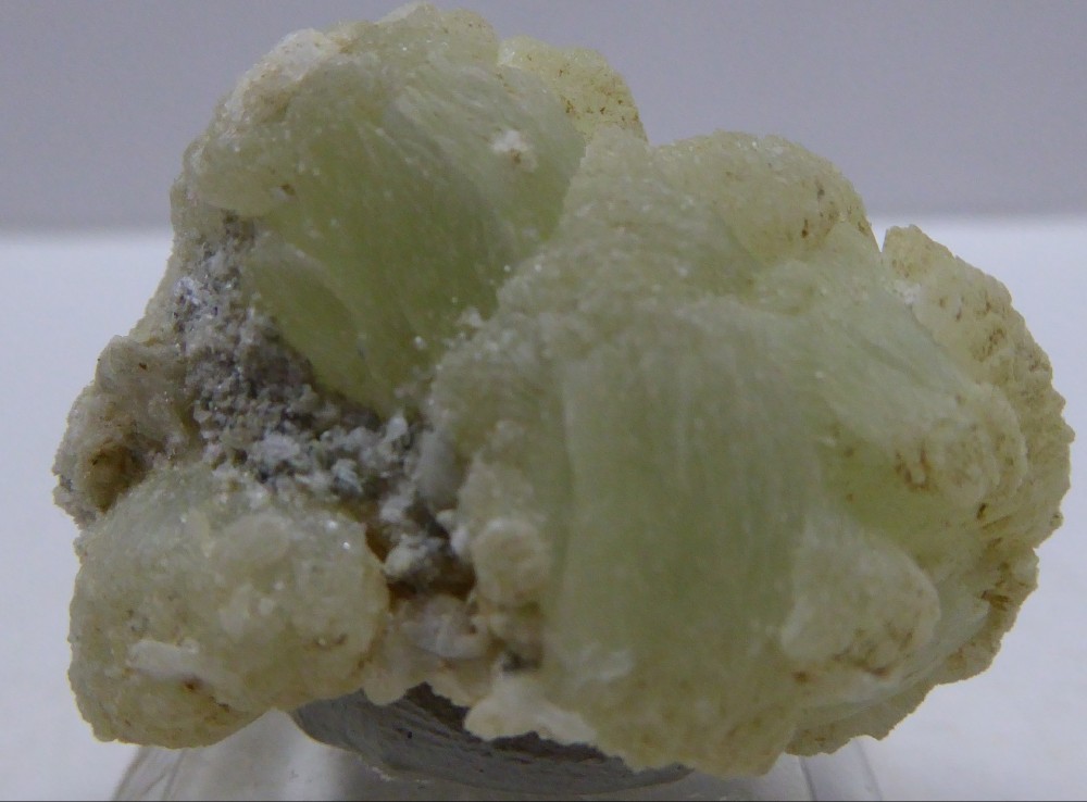 594e1b6db10e7_PREHNITE2Pyrnes(PyrnesAtlantiquesFrance)1CM.thumb.jpg.82cfaabed993dd1d1b5916432f69b056.jpg