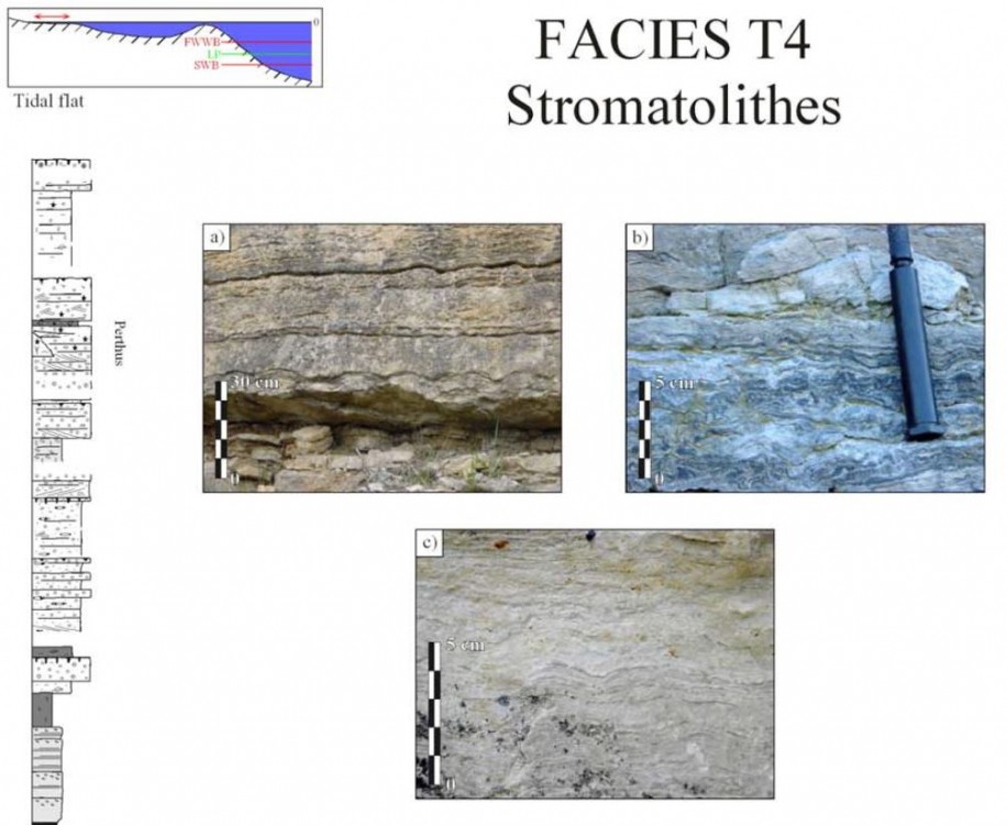 5950b6aea2d24_Capturestromatolites.thumb.JPG.f86f4fa9253d91bea031b7e4a90b9d4f.JPG