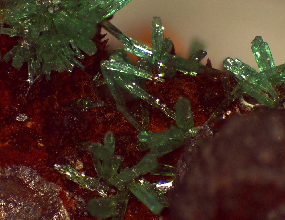 Olivenite Mexique 37x28.jpg