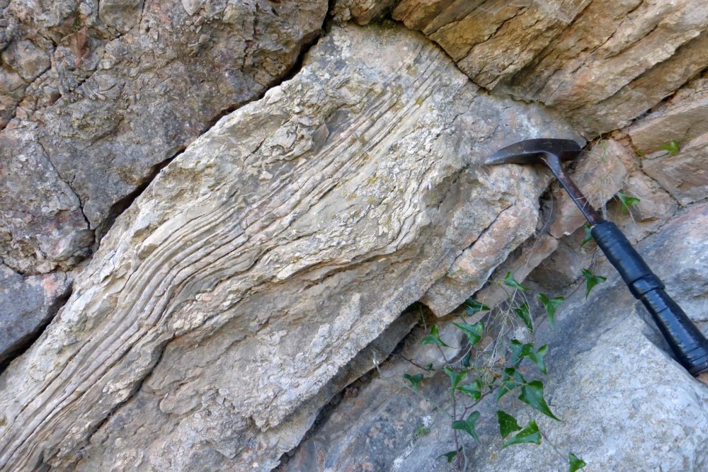 ca3.thumb.jpg.e0f07be05a2b60779fe0b3243f09166d.jpg