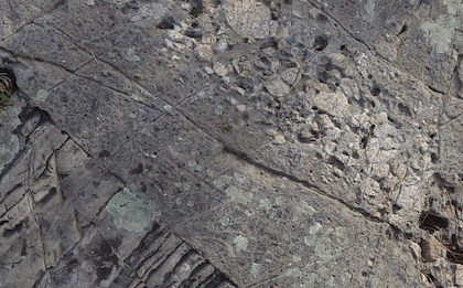 596f723086494_1432086237detail.jpg.bd95122746a373240ff7b460a5d8793c.jpg