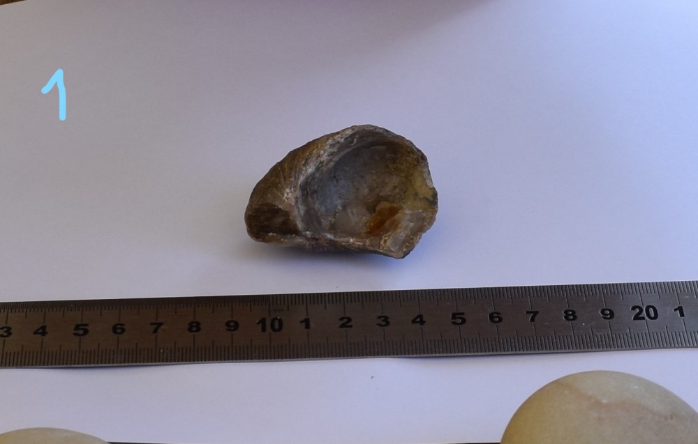 DSC_0994_LI.jpg