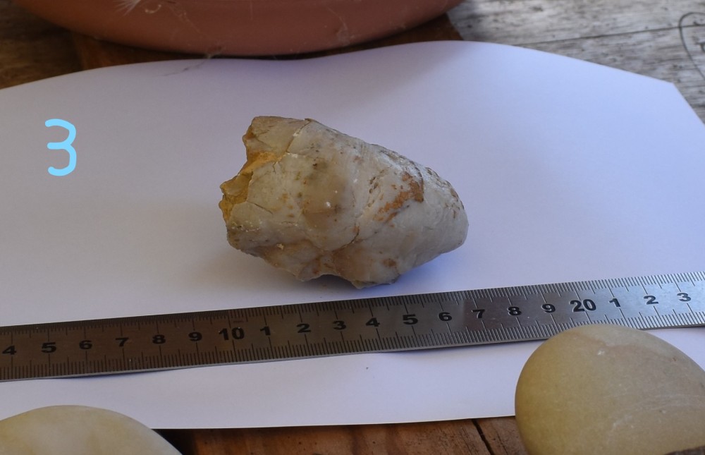 DSC_1003_LI.jpg