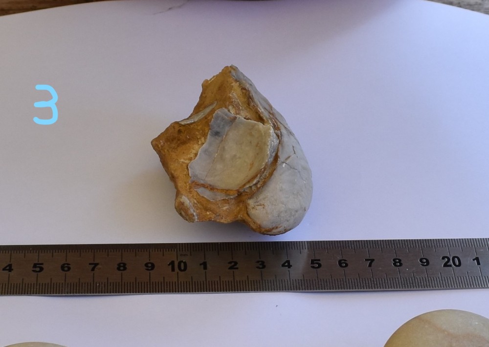 DSC_1004_LI.jpg