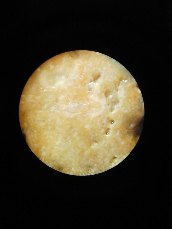20170809_185921.jpg
