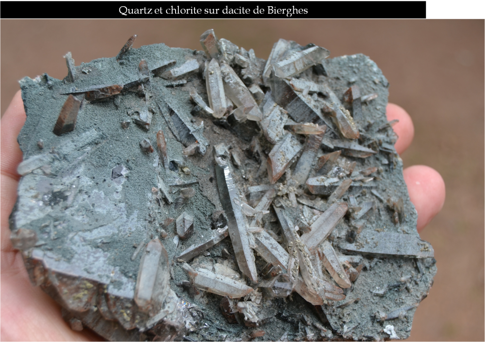 quartz chloriteux de Bierghes.png