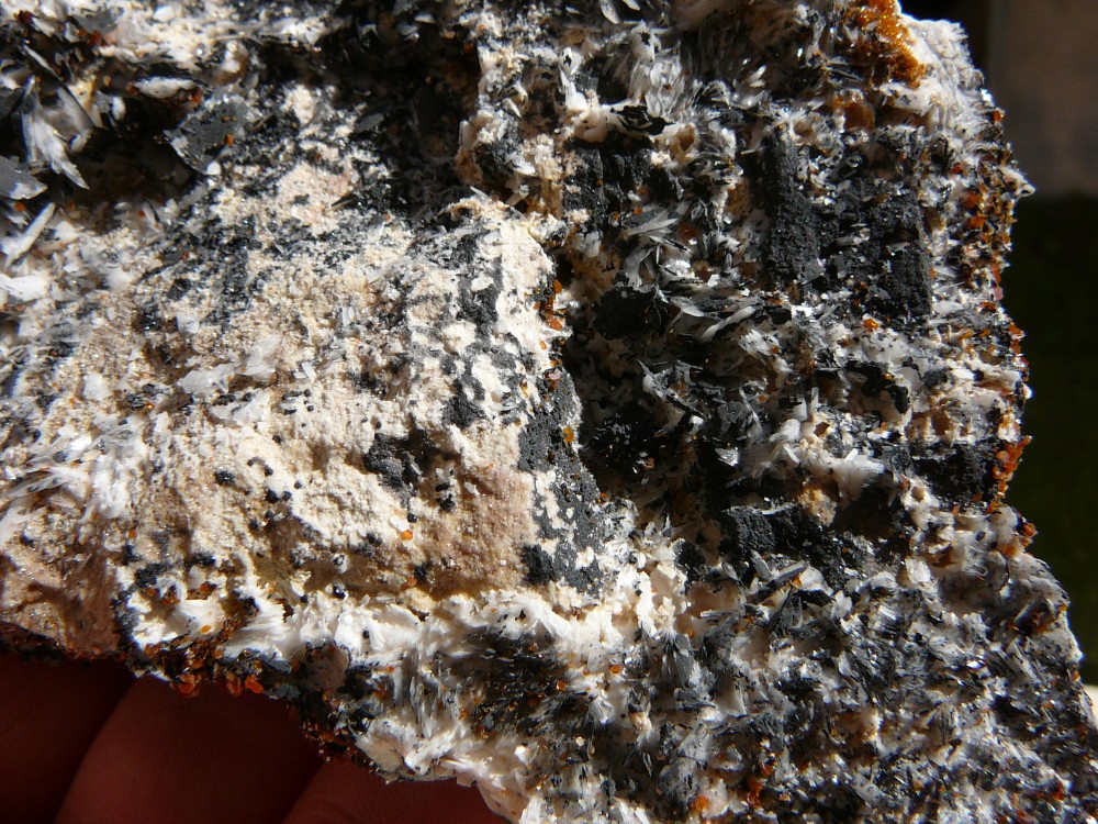 Vanadinite sur Baryte (3) arrière de l'échantillon.JPG