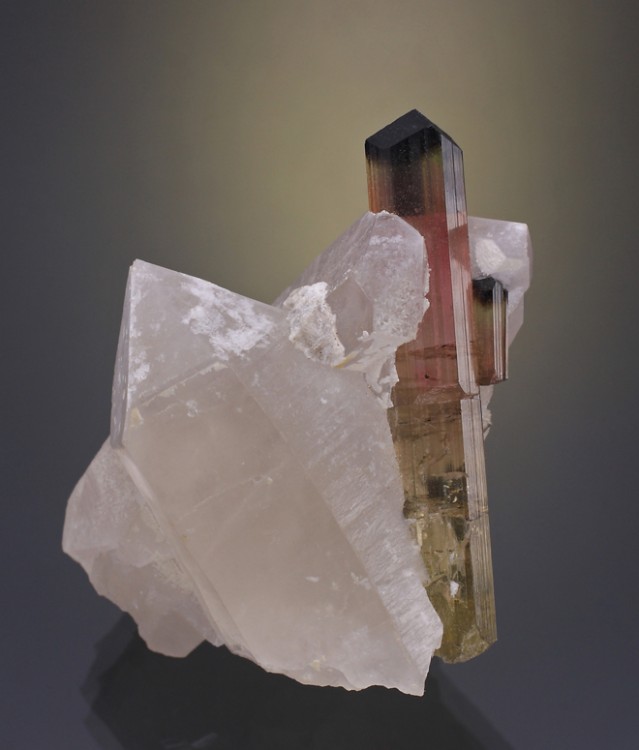 Elbaite-Quartz-Afghanistan.thumb.jpg.18d9b0ddd09be28f37568bfcd552dc39.jpg