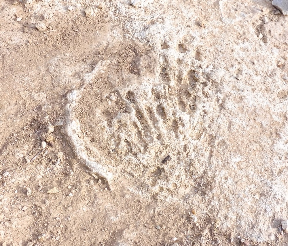 N47.415955, E4.733818 - e.jpg
