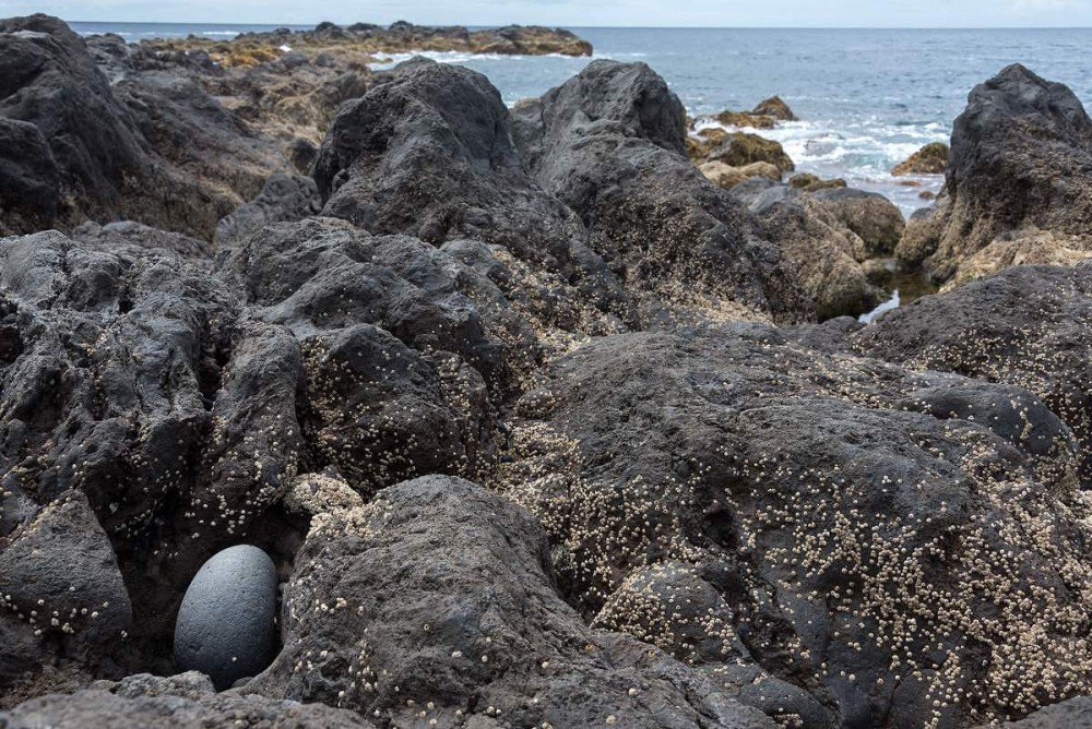 2017 Acores Faial 019  Capelinhos.jpg