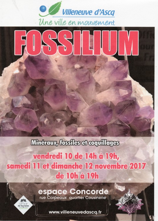 affiche__fossilium_2017_a003.thumb.jpg.b09056c1fe170d8b3c54b87ead2a2be8.jpg.ca275c7c1bb7b979e184b01a6f0a371c.jpg