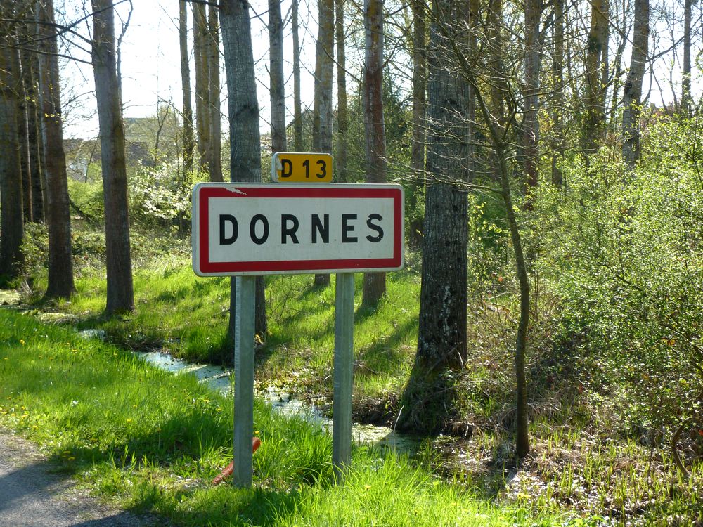 dornes.JPG.bf7ce815c68fd8f38f1839d20b4859c1.JPG